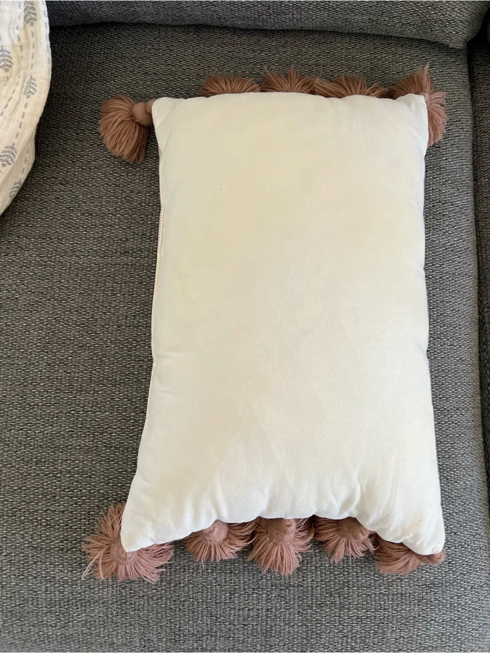 Hearth & Hand Cream and Blush Tassel Lumbar Pillow